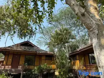 Baan Krating - Sha Plus - 38