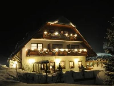 & Restaurant Grüner Baum - Die Grüne Oase Am Feldberg - 17