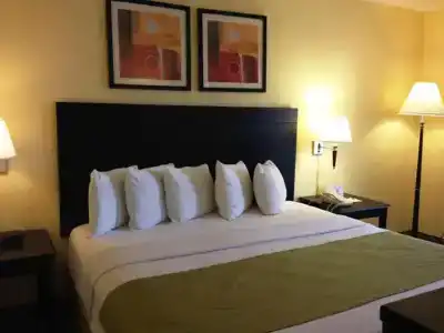 Days Inn By Wyndham Grapevine Dfw Airport North - 20