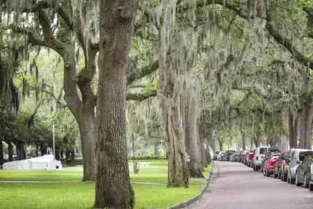 Olde Harbour Inn, Historic Inns of Savannah Collection - 89