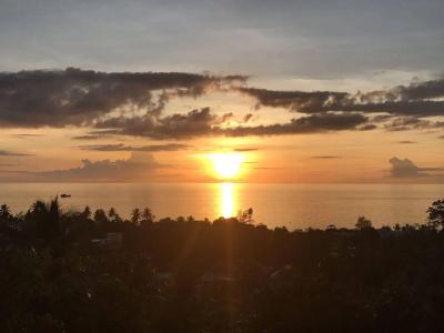 Indie - Koh Tao - 20
