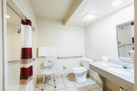 Red Roof Inn Houston - Iah Airport/Jfk Blvd - 29