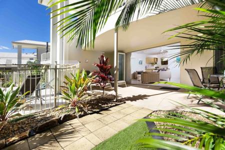 Noosa River Palms - 22