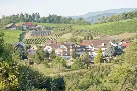 -Gasthof Rose - 33