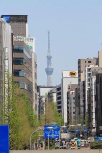 Ginza International - 15