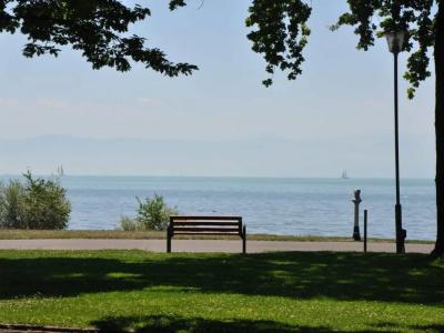 Traube am See - 10