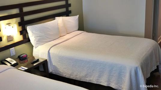 Dorchester & Suites - 38