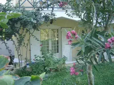 Paradise - 10