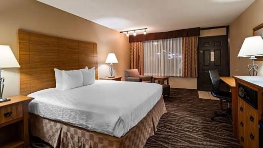 Best Western Plus Saddleback Inn and Conference Center - 49