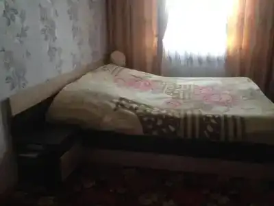 Георгина - 5
