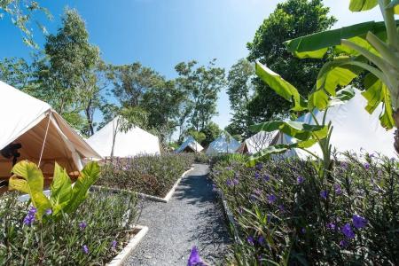 Roost Glamping - SHA Certified - 37