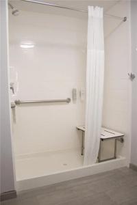 Hampton Inn & Suites Denver-Speer Boulevard - 53
