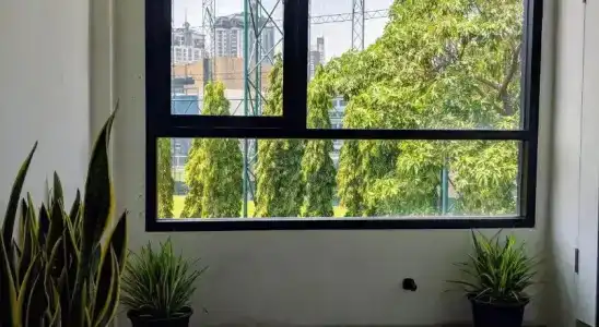 Holy Sheet Hostel - 6