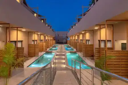 Golden Bee Lifestyle - 30