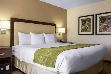 Comfort Suites at Tucson Mall - 43
