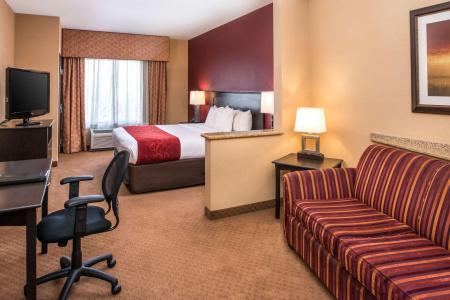 Comfort Suites Airport Convention Center - 6