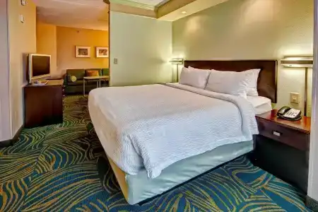 SpringHill Suites Old Dominion University - 28