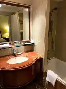 Le Royal Meridien Chennai - 108