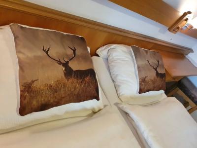 Pension Robin Hood - 22