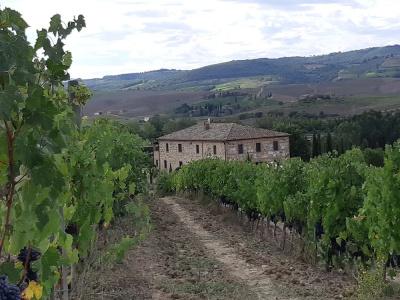 Cordella In Montalcino Wine Resort - 16