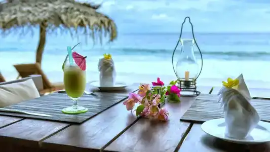 Good Karma Ayurvedic Resort - 21