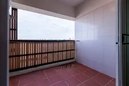 Latin Garden - 157