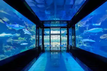 Paragraph Resort & Spa Shekvetili, Autograph Collection - 15