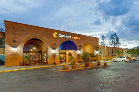 Comfort Suites At Sabino Canyon - 23