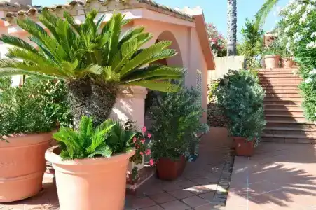 Residence Fenicia - 75