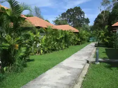 Saracen Bay Resort - 21