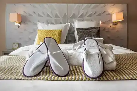 Mercure Annecy Sud - 41