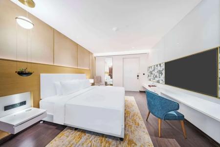 Radisson Blu Grt, Chennai - 133