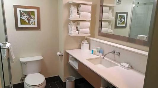 Hampton Inn & Suites by Hilton University NW - 75