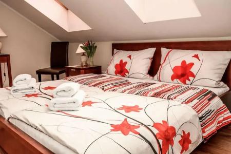 Eco Friendly Dália - 36