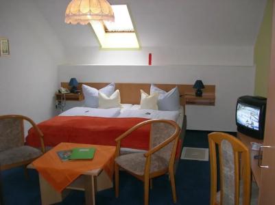 -Pension Am Mühlberg - 30