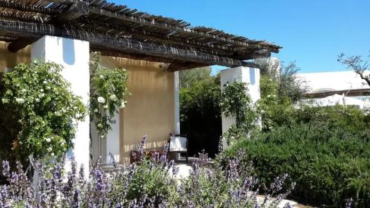 Masseria L'Antico Frantoio - 15