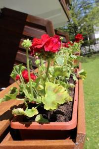 Appartement-Happy Kienberg - 92