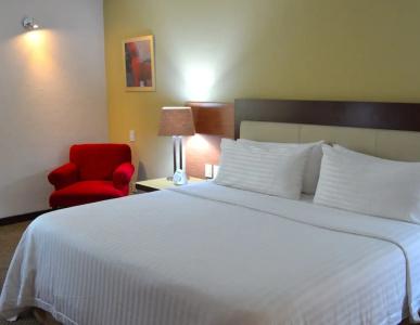 Holiday Inn Guadalajara Select, An Ihg - 69