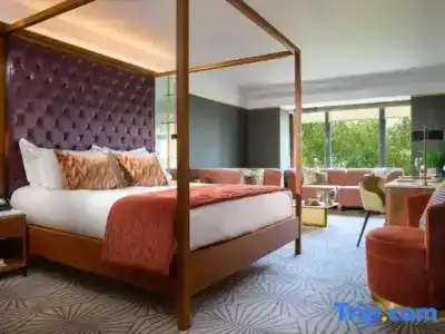 The Fitzwilliam - 65