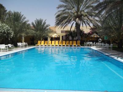 Sun Palm - 4