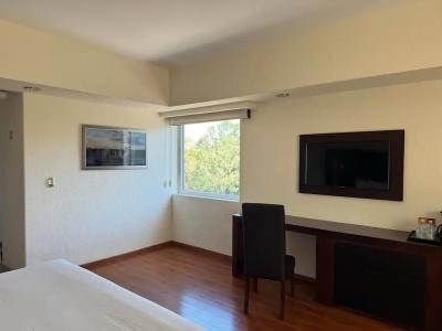 Loa Inn Business Centro Puebla - 43