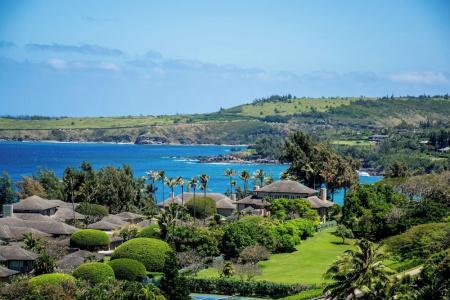 Kapalua Villas Maui - 349