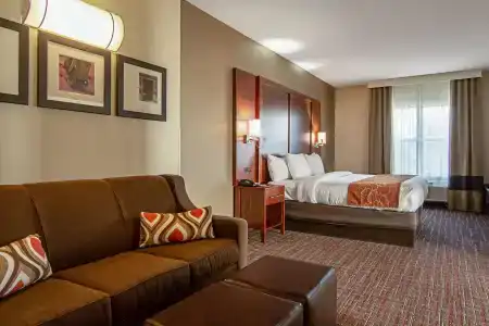 Comfort Suites Nw Dallas Near Love Field - 3