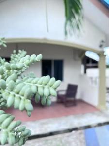 Dhania Cenang Beach - 32