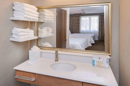 Hampton Inn & Suites Denver-Speer Boulevard - 8