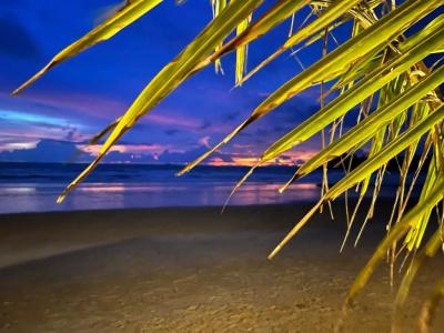Noble House Beach Resort Sha Extra Plus - 95
