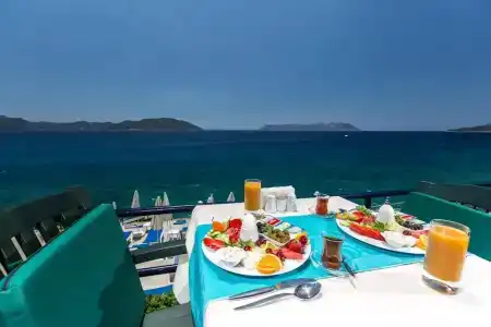 Sardunya Andifli Otel - 11