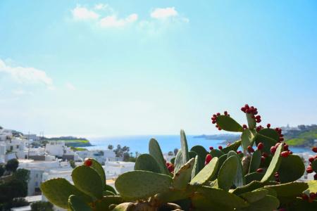 Amperian Mykonos Suites & Villas - 92
