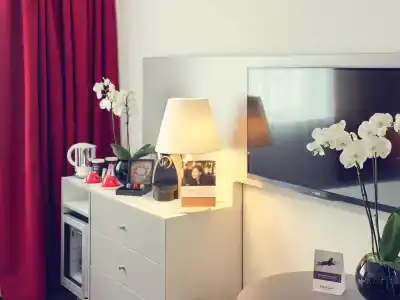 Mercure Tours Nord - 9