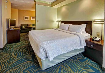 SpringHill Suites Old Dominion University - 17